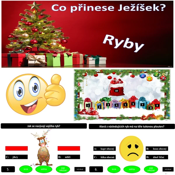 Co přinese Ježíšek? Ryby