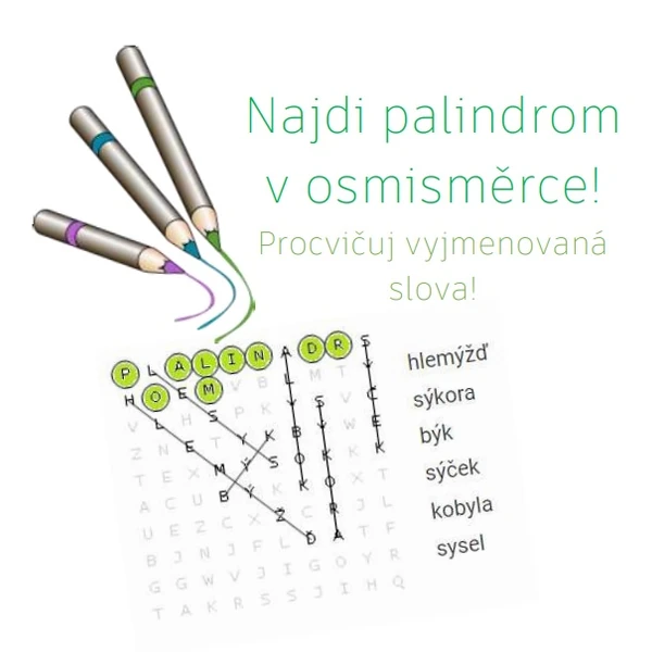 Najdi palindrom v osmisměrce! Vyhledej vyjmenovaná slova!