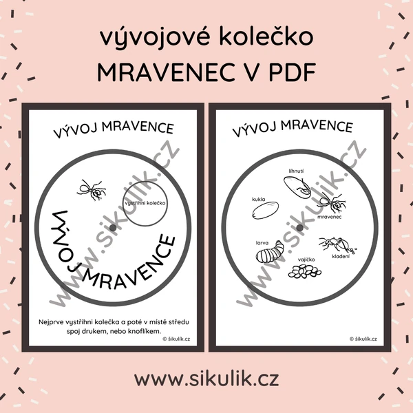 VÝVOJOVÉ KOLEČKO MRAVENEC