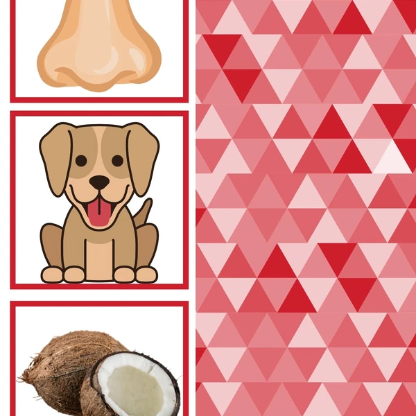 Logopedické pexeso - hláska S