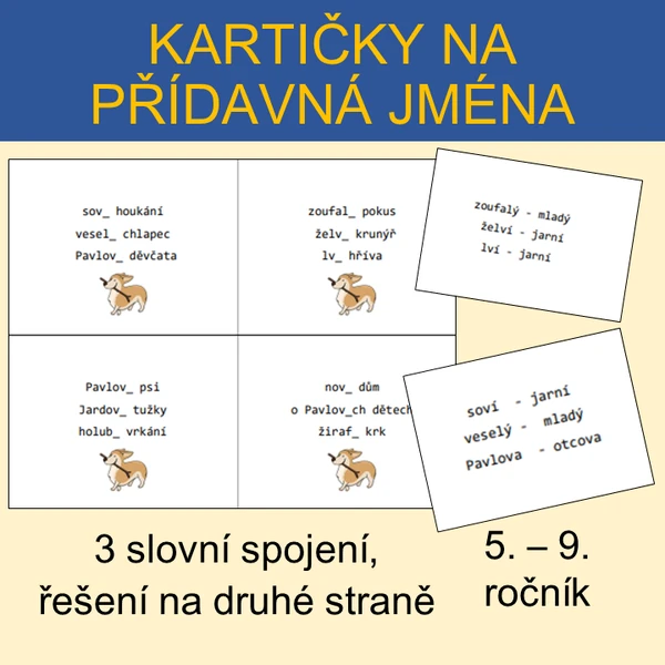 PŘÍDAVNÁ JMÉNA - kartičky