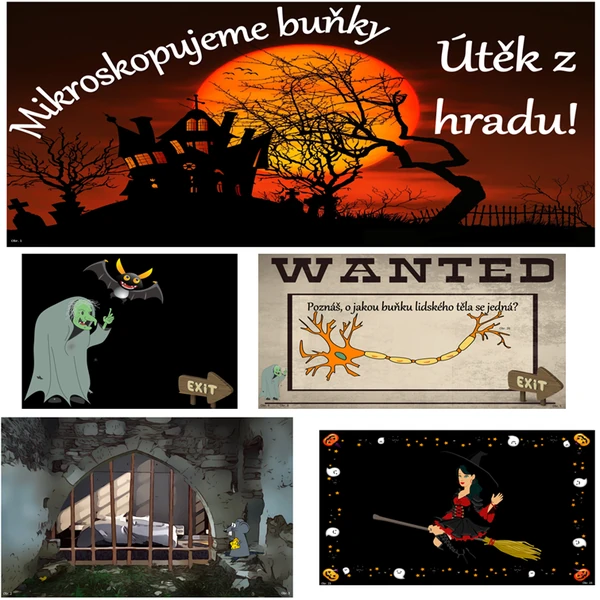 Útěk z hradu! Mikroskopujeme buňky