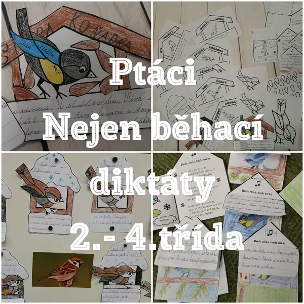 PTÁCI - 2.-4. třída nejen běhací diktáty