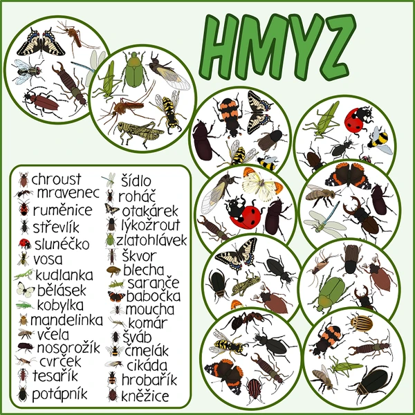 Postřehovka - Hmyz