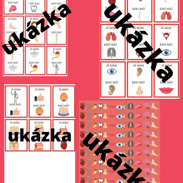 JÁ MÁM, KDO MÁ ? LIDSKÉ TĚLO 
