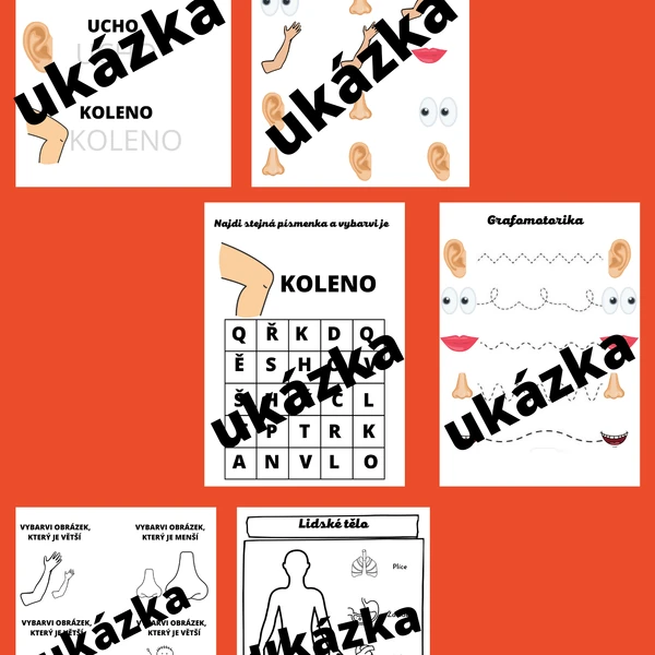 Pracovní listy LIDSKÉ TĚLO