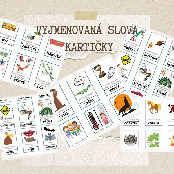 Vyjmenovaná slova - kartičky