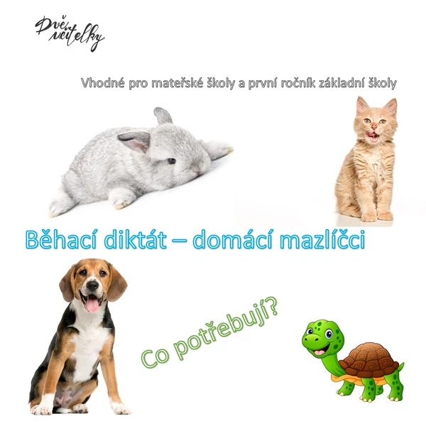 Běhací diktát - domácí mazlíčci