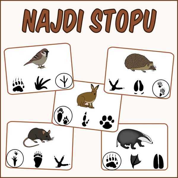Stopy zvířat