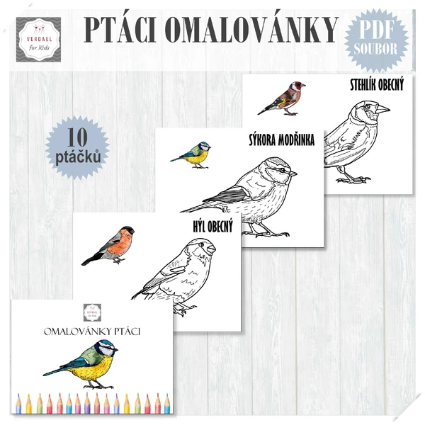 Omalovánky PTÁCI