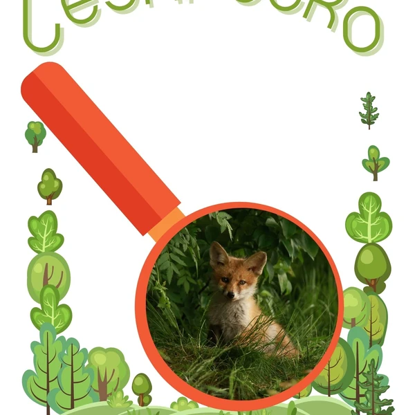 Lesní očko - stezka do probouzejícího se lesa