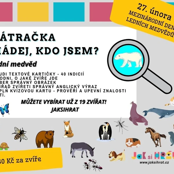 Hádej, kdo jsem - LEDNÍ MEDVĚD