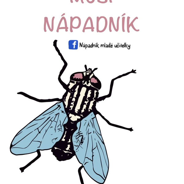 Muší nápadník
