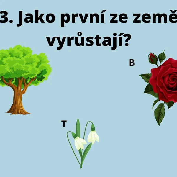 Jarní venkovní kvíz