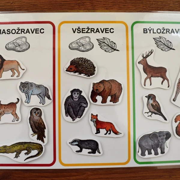 Masožravec, všežravec, býložravec