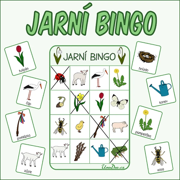 Jaro - Bingo