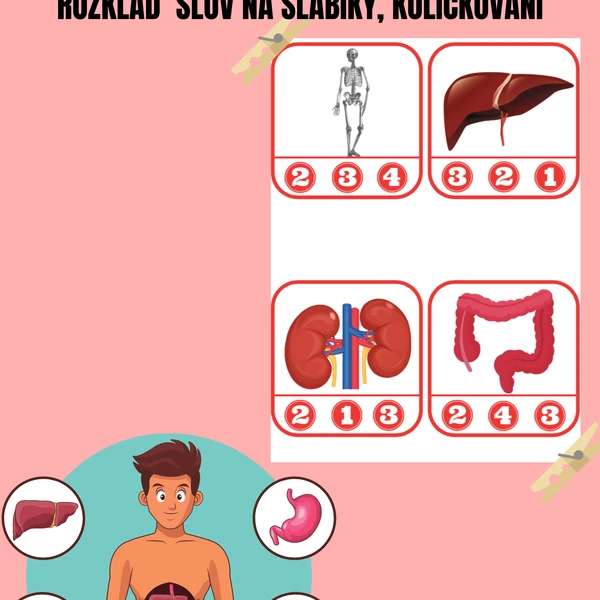 ROZKLAD SLOV, KOLÍČKOVÁNÍ - LIDSKÉ TĚLO