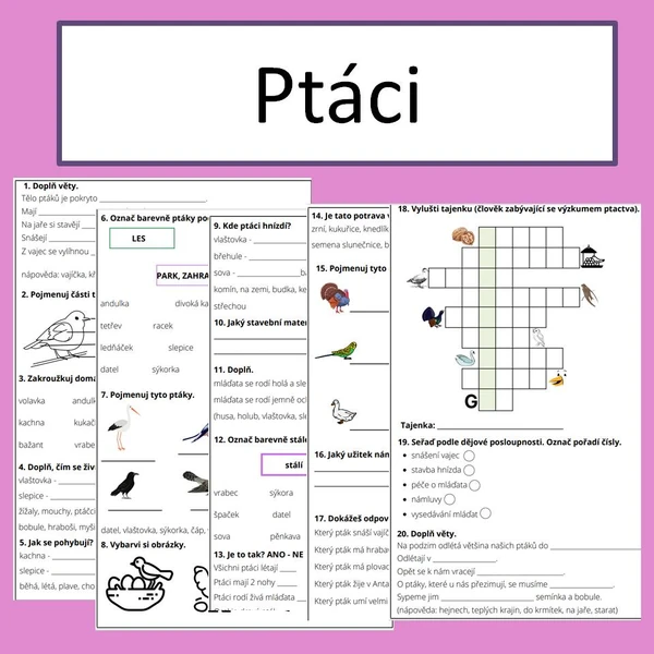 Ptáci