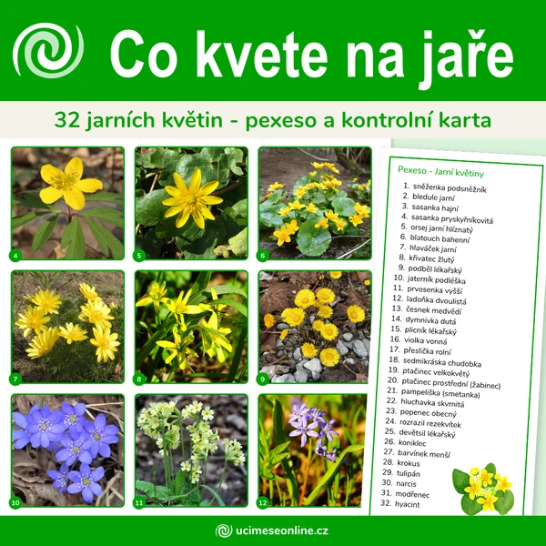 Co kvete na jaře - 32 jarních květin, pexeso a kontrolní karta