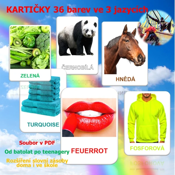 KARTY - flashcards BARVY