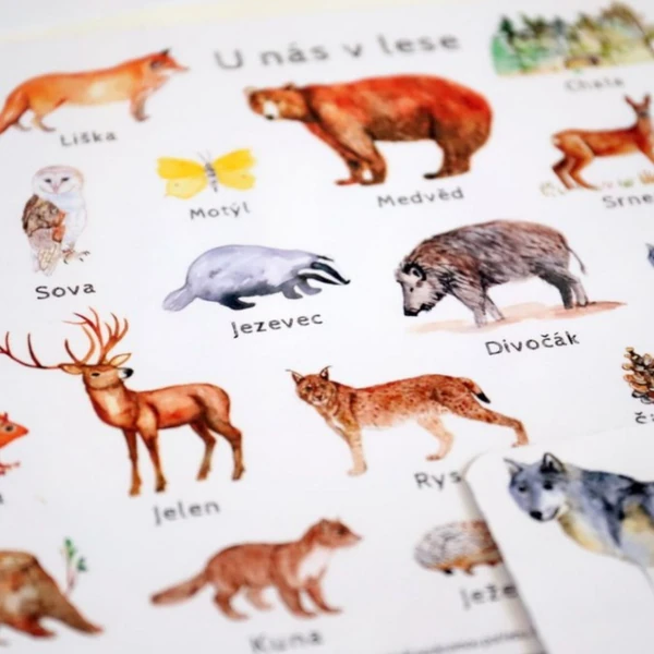 LES /1-3 roky/ 9 výukových aktivit