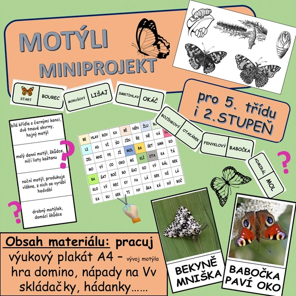 Motýli - miniprojekt