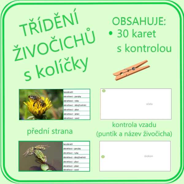 Třídění živočichů s kolíčky
