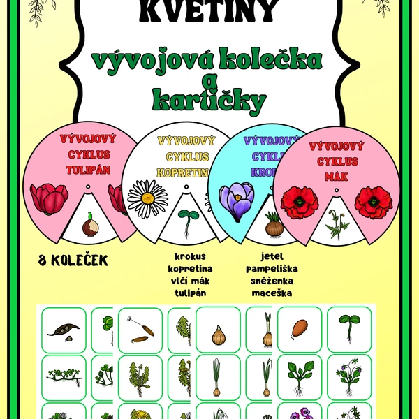 KVĚTINY - VÝVOJOVÉ KARTIČKY A KOLEČKA