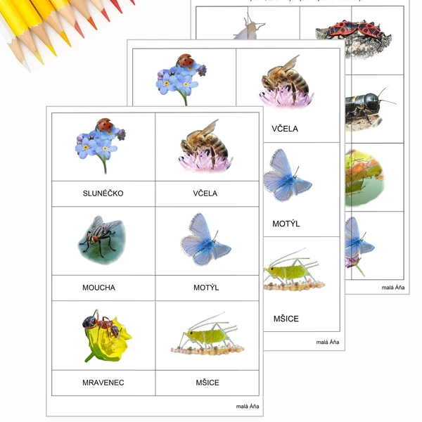 TŘÍSLOŽKOVÉ KARTY A PUZZLE - HMYZ