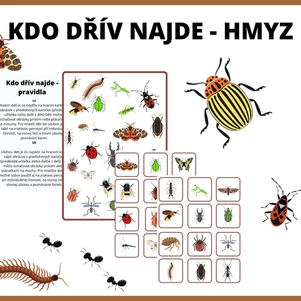 Kdo dřív najde HMYZ