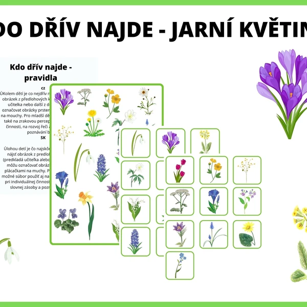 Jarní květiny - zrakovka