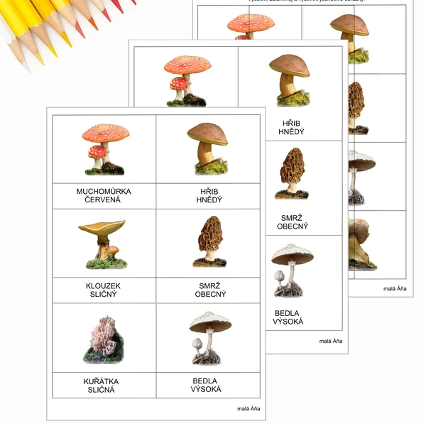  TŘÍSLOŽKOVÉ KARTY A PUZZLE - HOUBY