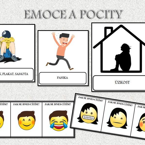 Emoce a pocity