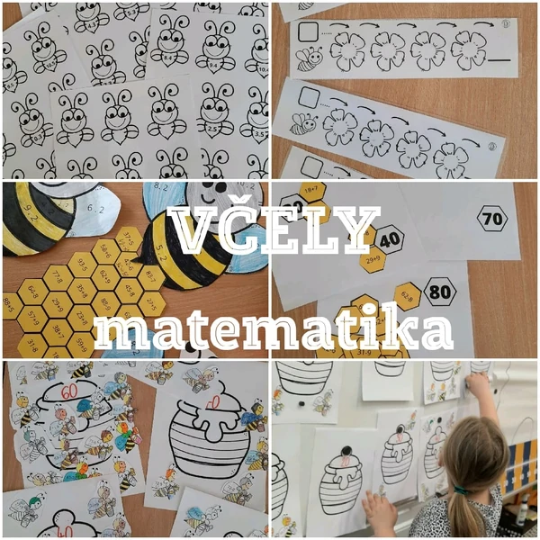 VČELY - MATEMATIKA