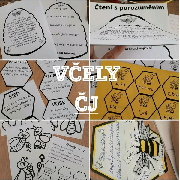 VČELY - ČJ