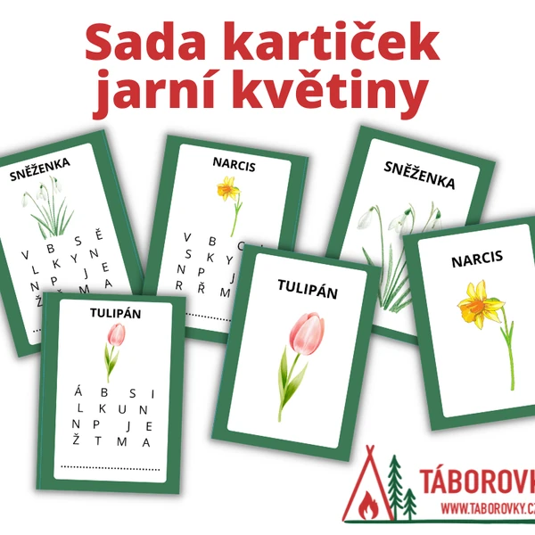 Sada kartiček jarní květiny