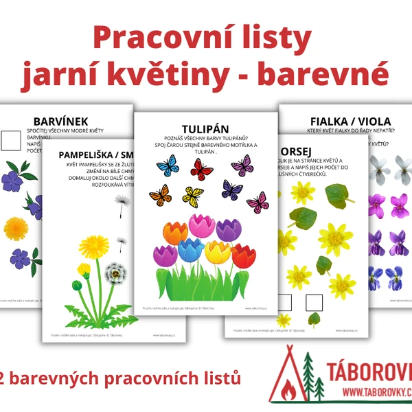 Pracovní listy jarní květiny barevné