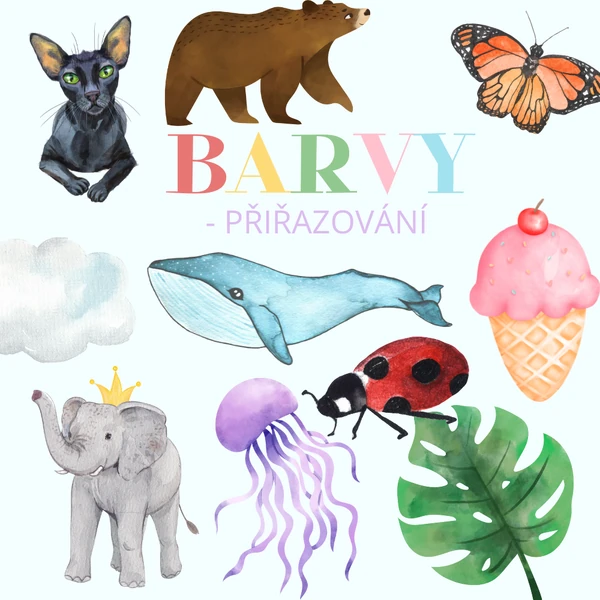 výukové karty BARVY - přiřazování