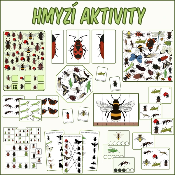 Hmyz - Sada aktivit