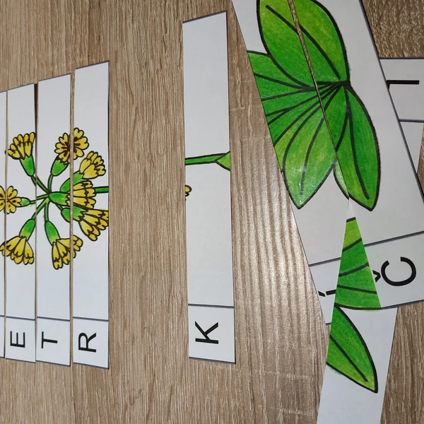 JARNÍ KVÍTÍ - pruhované skládanky