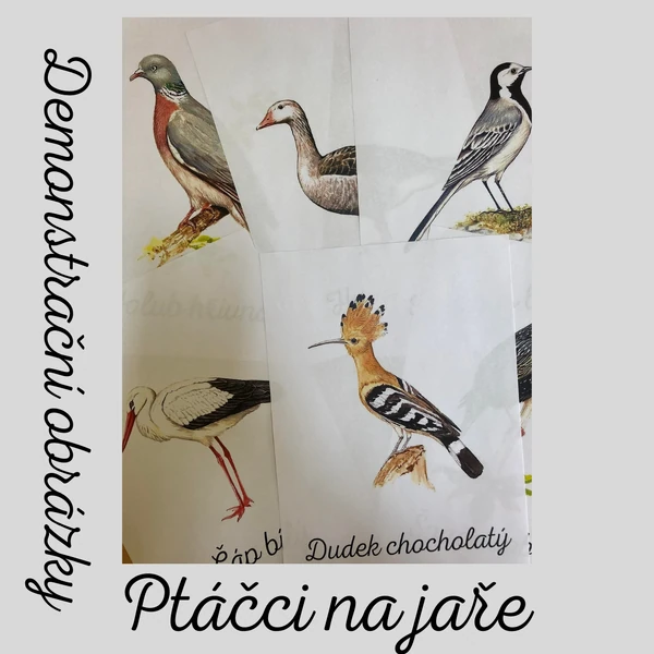 Ptáčci na jaře, dem. obr.