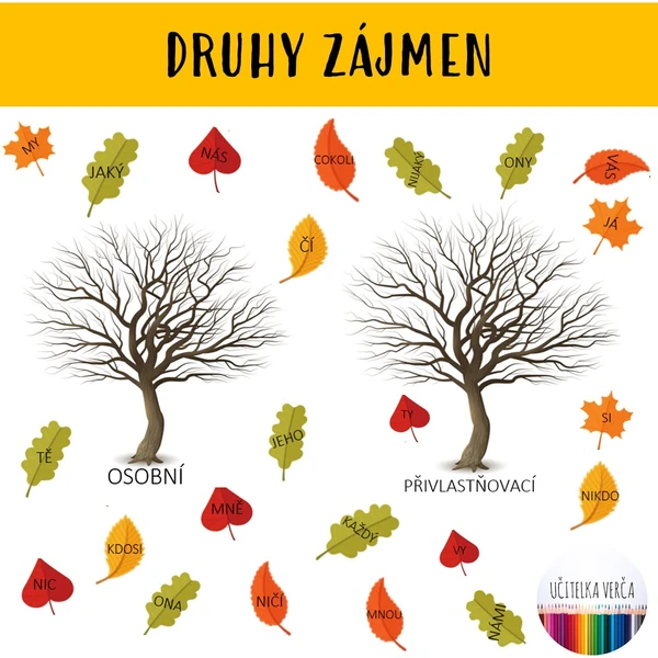Druhy zájmen