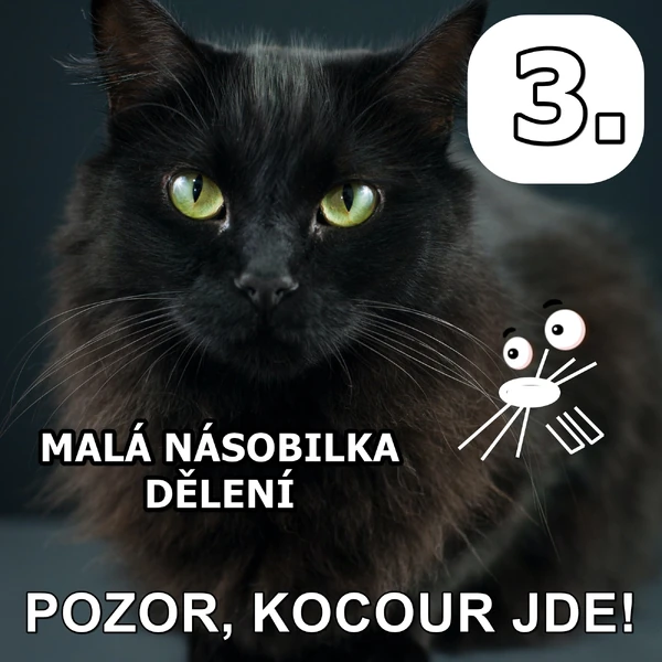 Pozor, kocour jde! (dělení)