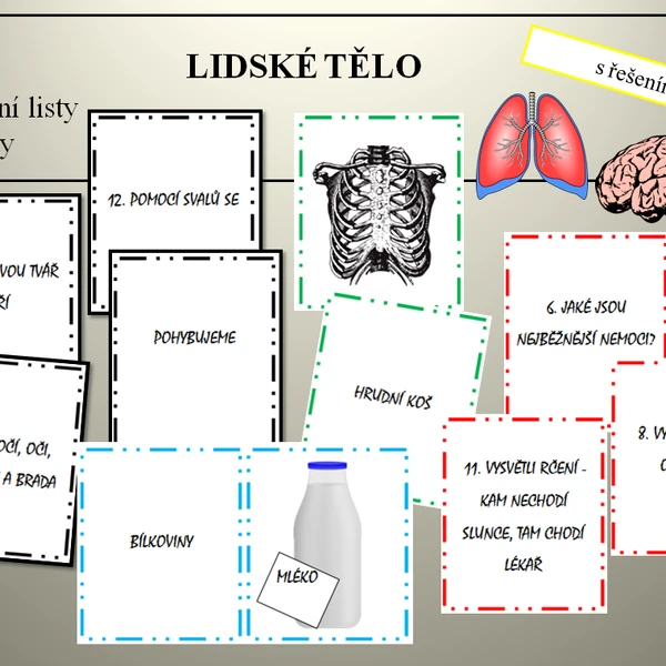 Lidské tělo
