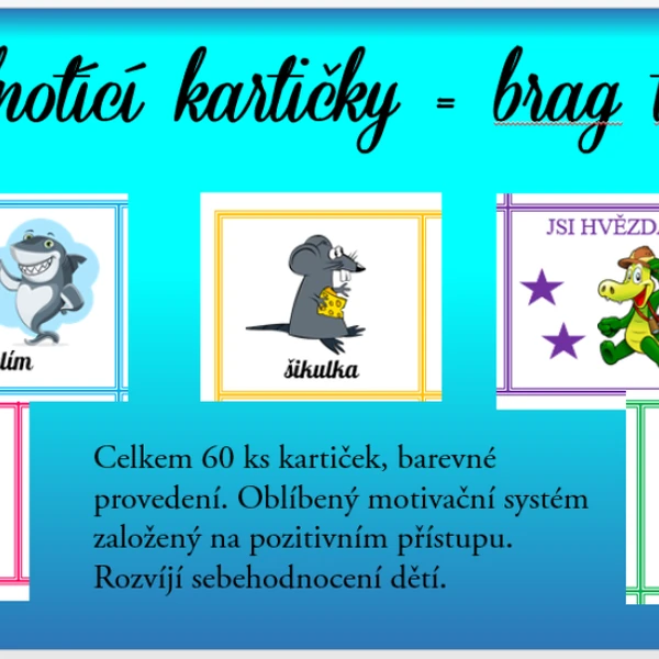 Hodnotící kartičky - brag tags