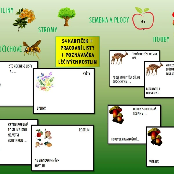 Rostliny, stromy, semena a plody, houby a živočichové