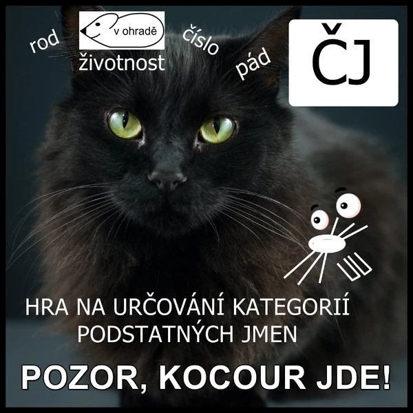 KATEGORIE PODSTATNÝCH JMEN