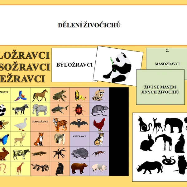 Rozdělení živočichů - býložravci, masožravci a všežravci