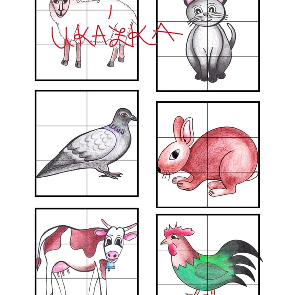 Skládanky ze 2, 4, 6, 8 dílků - DOMÁCÍ ZVÍŘATA