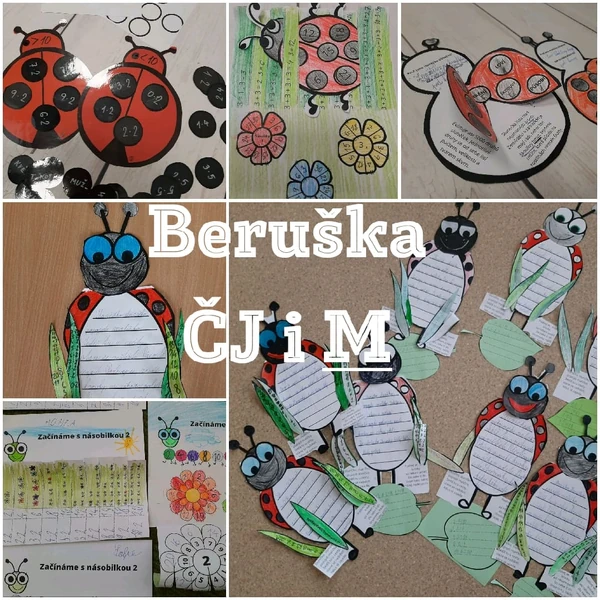 Slunéčko sedmitečné - beruška